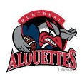 Alouettes saison 2013