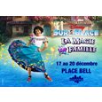 Disney sur Glace - Décembre 2026