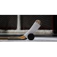 Hockey 2024-2025